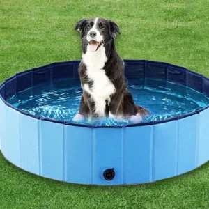 Pet Swimming Grooming Bathing Pool